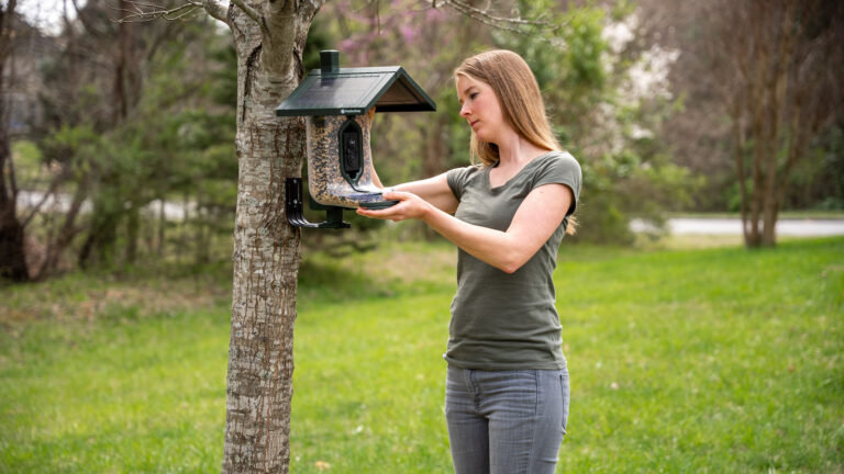 FeatherSnap Scout: Solar-Powered AI Bird Feeder with Wi-Fi and Camera on Gadget Flow