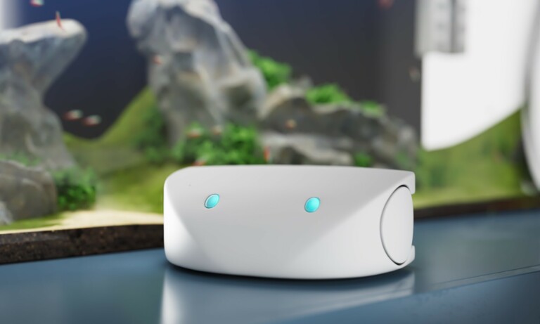 StayrAI review: this smart aquarium uses AI to create optimal conditions