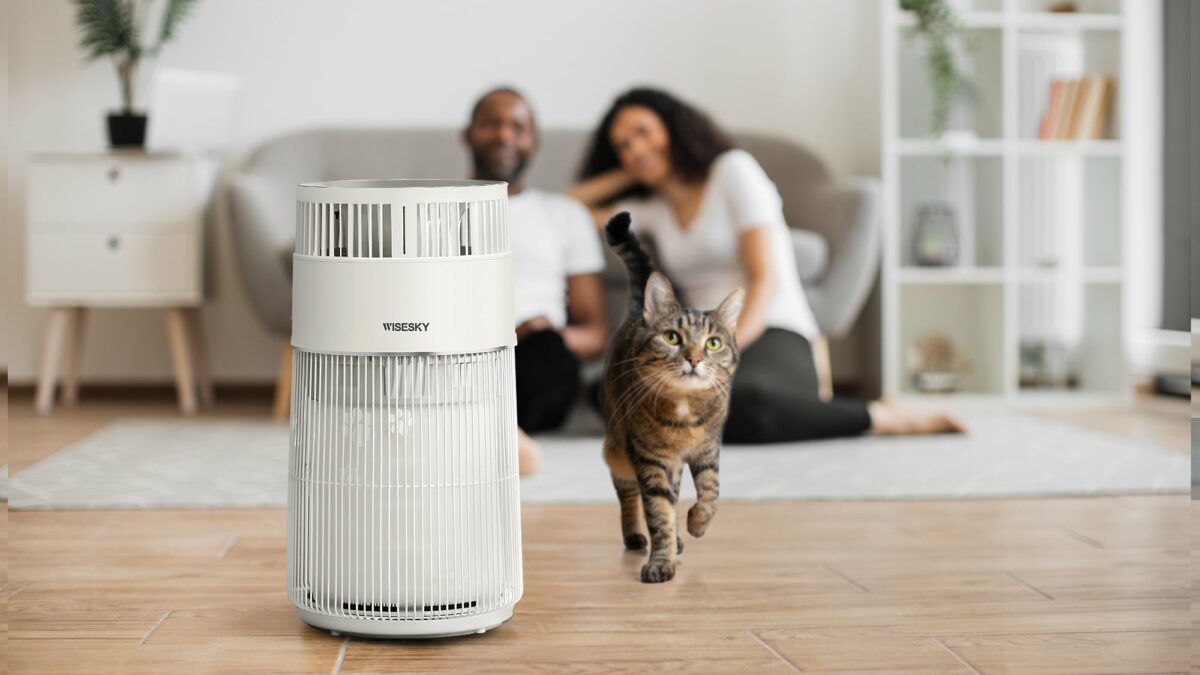 Wisesky W-Cat review: breathe fresher, cleaner air with this cat air purifier